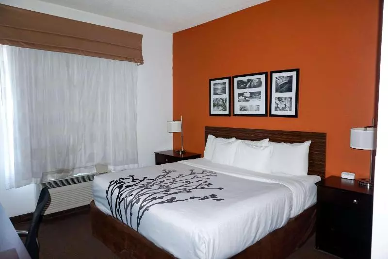 キングサイズベッドのスタンダードルーム, Sleep Inn & Suites Ft. Lauderdale International Airport