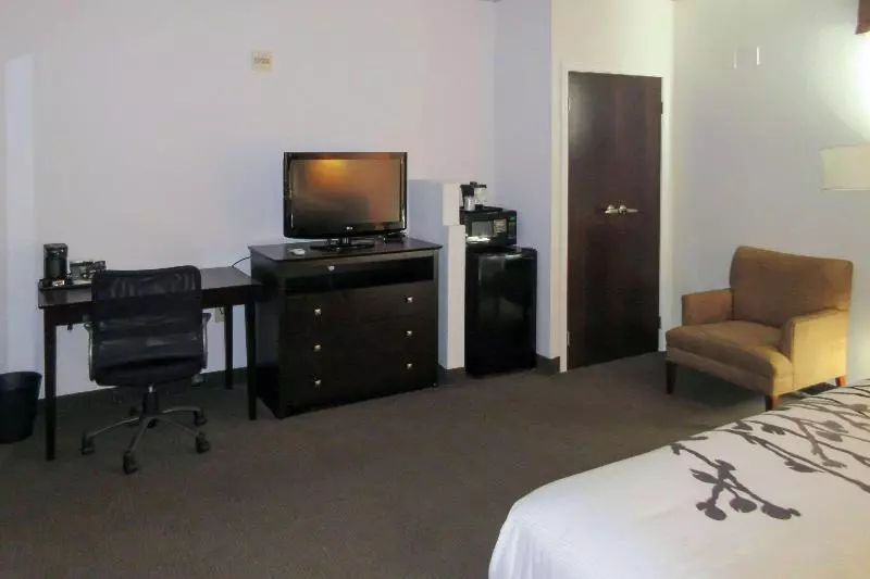 キングサイズベッドのスタンダードルーム, Sleep Inn & Suites Ft. Lauderdale International Airport