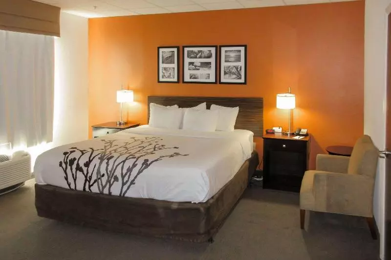 キングサイズベッドのスタンダードルーム, Sleep Inn & Suites Ft. Lauderdale International Airport