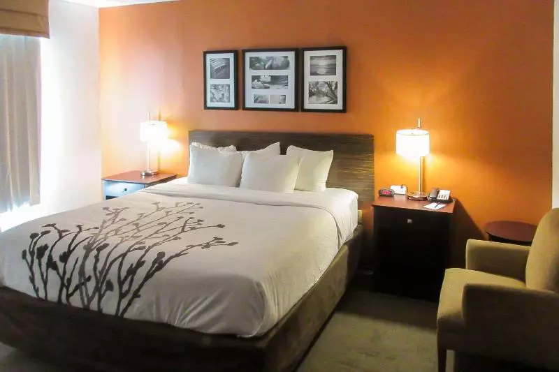 キングサイズベッドのスタンダードルーム, Sleep Inn & Suites Ft. Lauderdale International Airport
