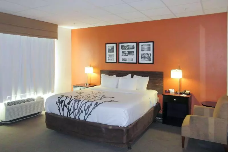 キングサイズベッドのスタンダードルーム, Sleep Inn & Suites Ft. Lauderdale International Airport
