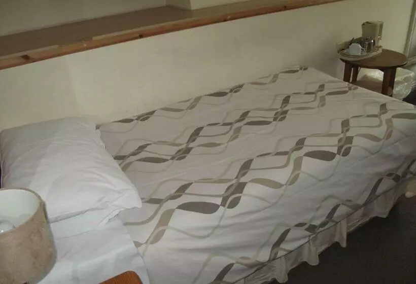اتاق استاندارد یک نفره, Ml Lodge