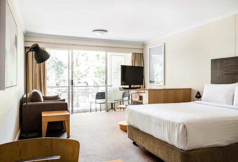 חדר סטודיו סטנדרד, Quest Manly