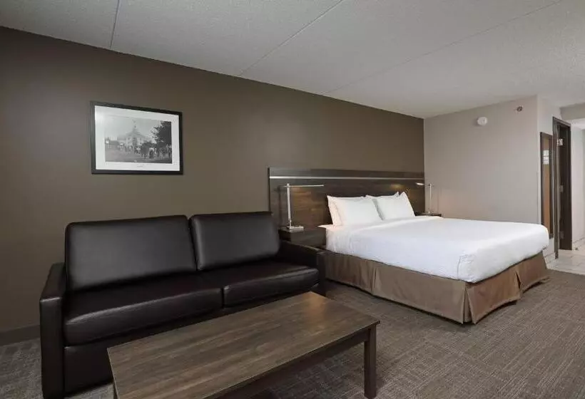 اتاق استاندارد با تخت بزرگ, Canad Inns Destination Centre Brandon
