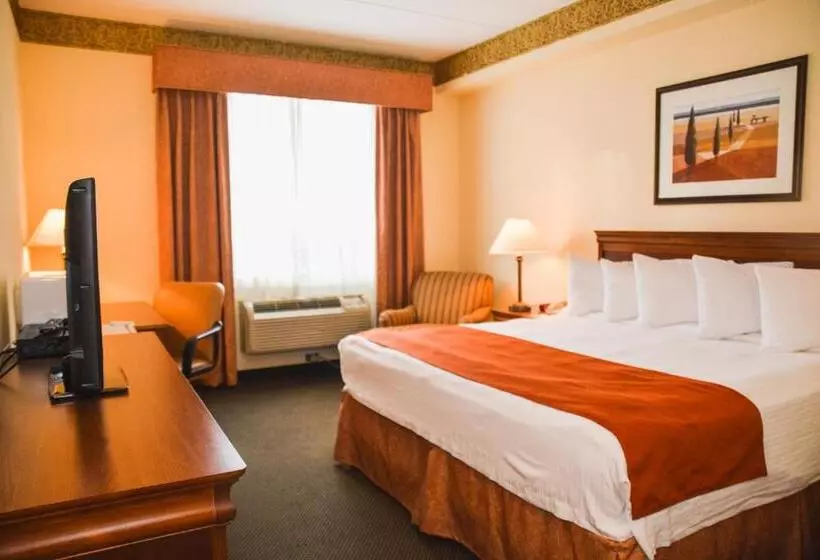اتاق استاندارد با تخت بزرگ, Country Inn & Suites By Radisson, London South, On