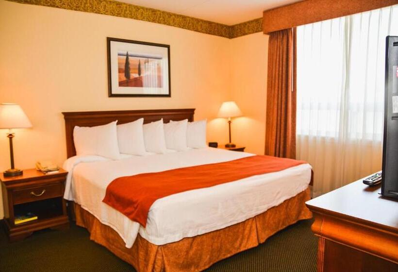 キングサイズベッドのスタンダードルーム, Country Inn & Suites By Radisson, London South, On
