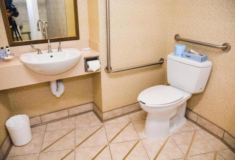 غرفة قياسية سرير كينج لذوى الإحتياجات الخاصة, Country Inn & Suites By Radisson, London South, On