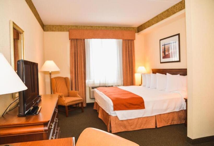 キングサイドベッドのスタンダードワンルーム, Country Inn & Suites By Radisson, London South, On