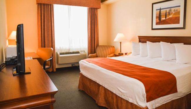 １階のスタンダードルーム, Country Inn & Suites By Radisson, London South, On