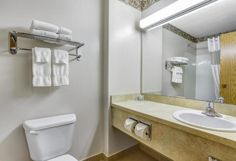 Lakosztály, Days Inn By Wyndham Red Deer