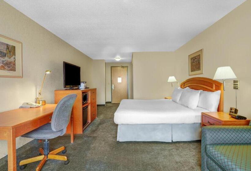 Standard Szoba King Size Bed, Days Inn By Wyndham Red Deer