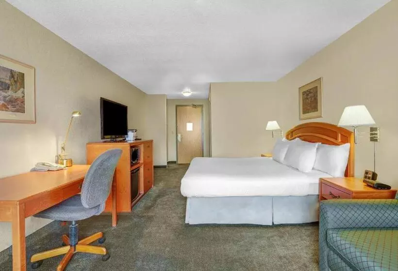 اتاق استاندارد با تخت بزرگ, Days Inn By Wyndham Red Deer