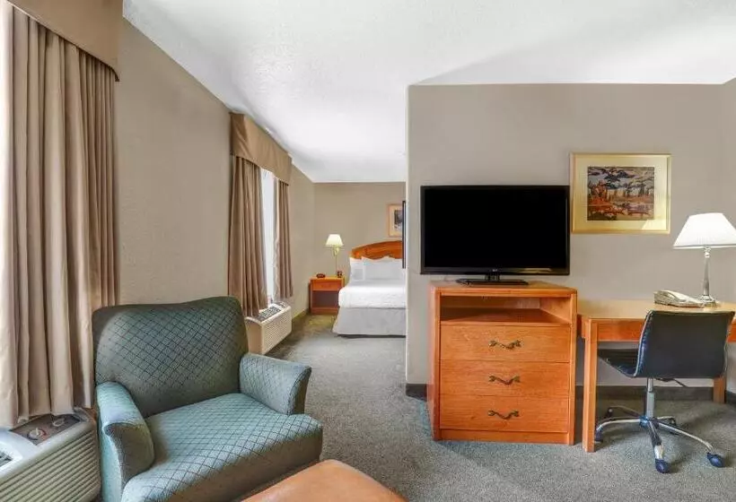 اتاق لوکس با تخت بزرگ, Days Inn By Wyndham Red Deer