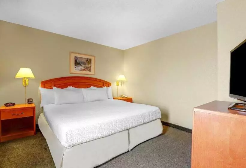 اتاق لوکس با تخت بزرگ, Days Inn By Wyndham Red Deer