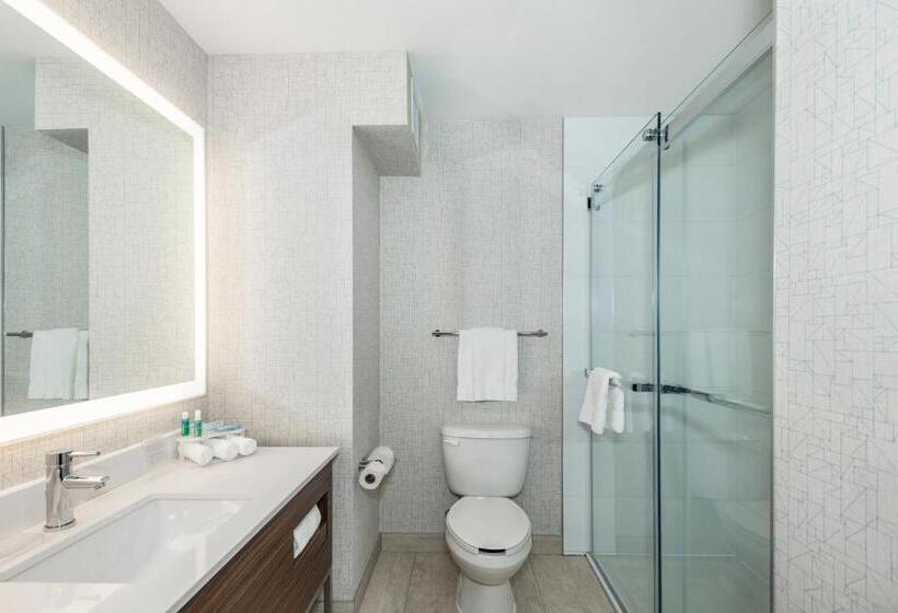 מיטת קינג בסוויטה, Holiday Inn Express & Suites Medicine Hat, An Ihg