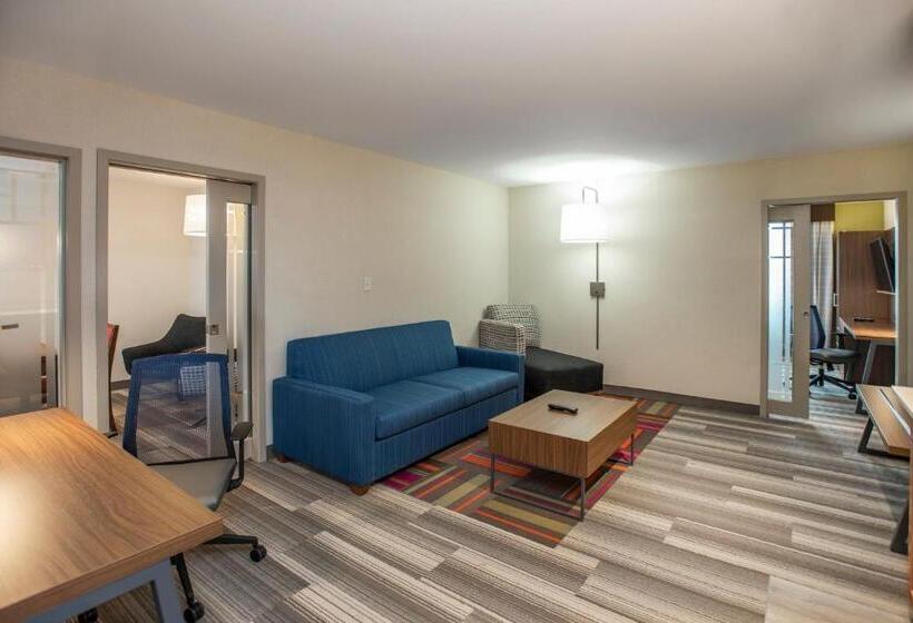 سوییت, Holiday Inn Express & Suites Medicine Hat, An Ihg