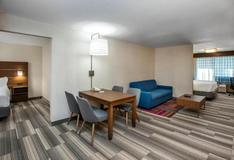 جناح سرير كينج, Holiday Inn Express & Suites Medicine Hat, An Ihg