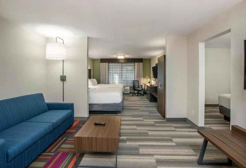 מיטת קינג בסוויטה, Holiday Inn Express & Suites Medicine Hat, An Ihg