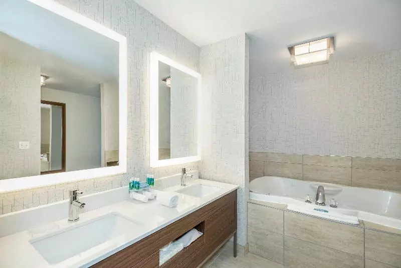 سوئیت با تخت بزرگ, Holiday Inn Express & Suites Medicine Hat, An Ihg