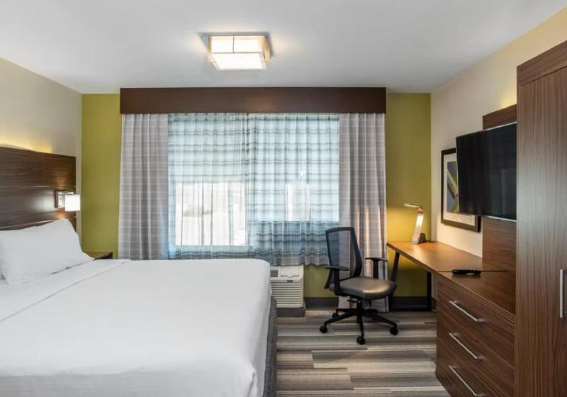 غرفة قياسية سرير كينج, Holiday Inn Express & Suites Medicine Hat, An Ihg