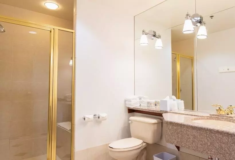 سوییت لوکس, Lakeview Signature, Trademark Collection By Wyndham