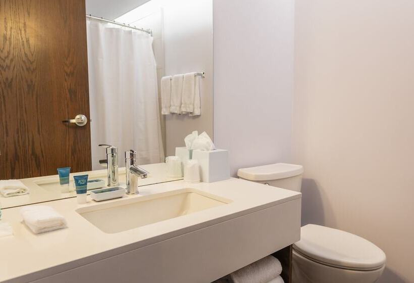 スイート, Lakeview Signature, Trademark Collection By Wyndham