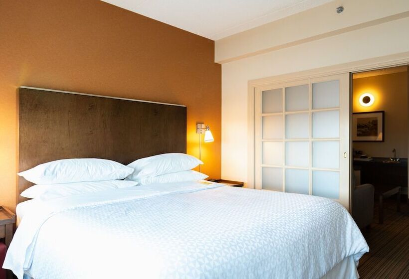 スイート, Lakeview Signature, Trademark Collection By Wyndham