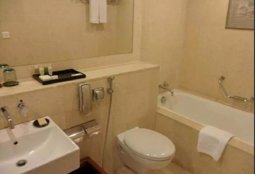 اتاق کلاس بیزنس, Radisson Blu Dhaka Water Garden