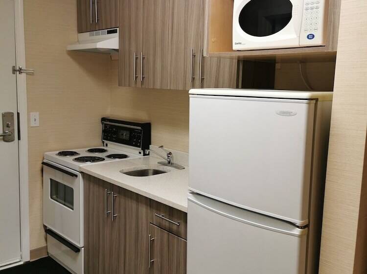 带2个双人床的标准工作室, Rodeway Inn & Suites