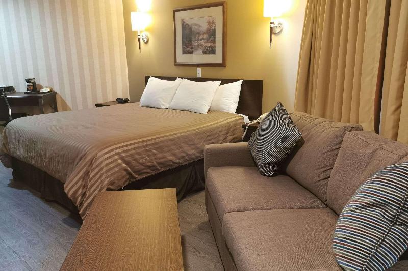 キングサイズベッドのスタンダードルーム, Rodeway Inn & Suites