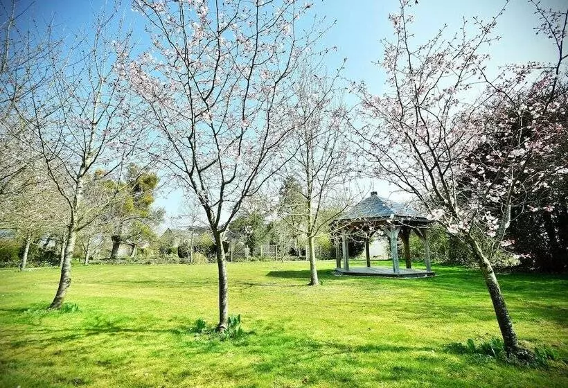スーペリアールーム, Stanton Manor
