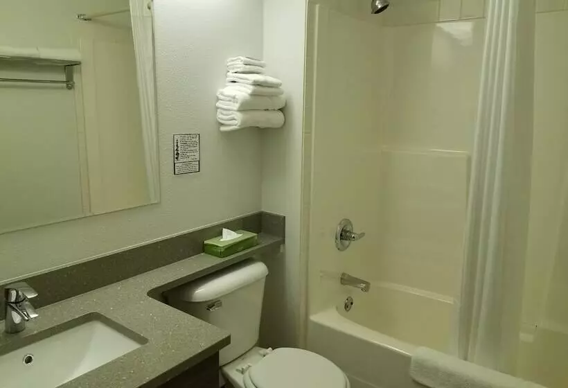 اتاق استاندارد با تخت دوبل, Surestay Plus Hotel By Best Western Lethbridge