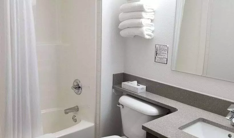 سوییت, Surestay Plus Hotel By Best Western Lethbridge