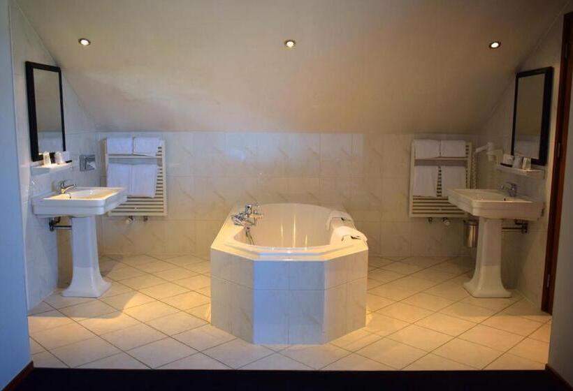 经典小型套房, Van Der Valk Cuijk Nijmegen