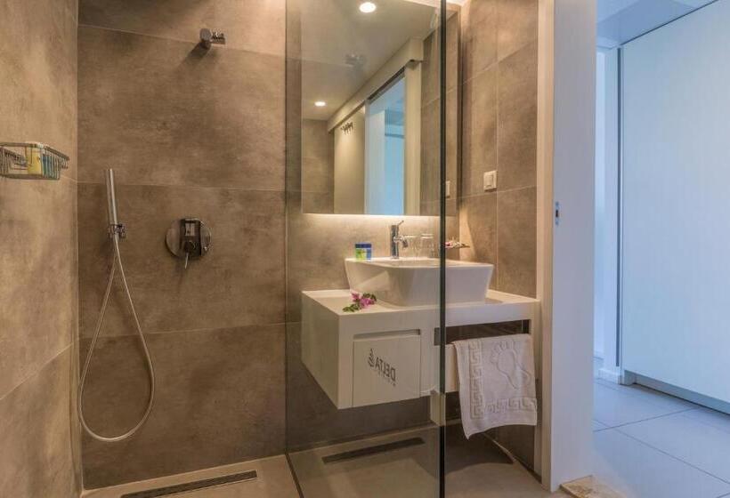 חדר סטנדרט פנימי, Delta