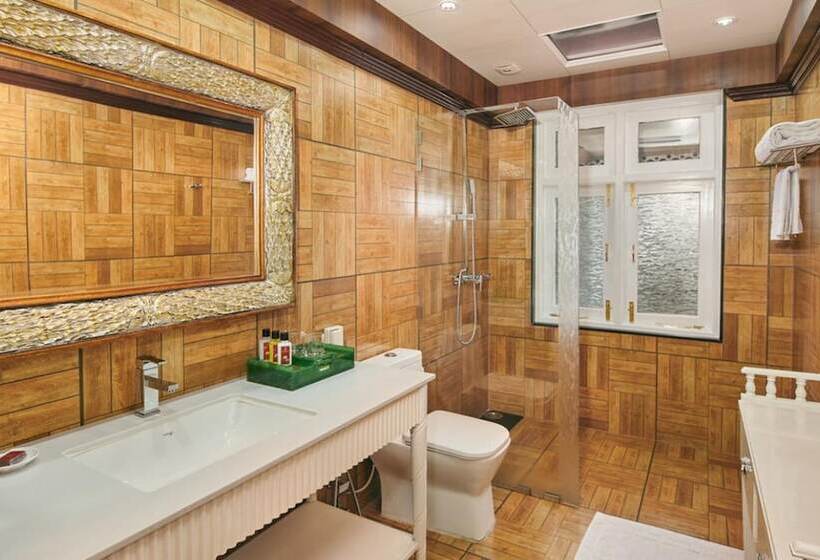 Executive Room, Mayfair Darjeeling