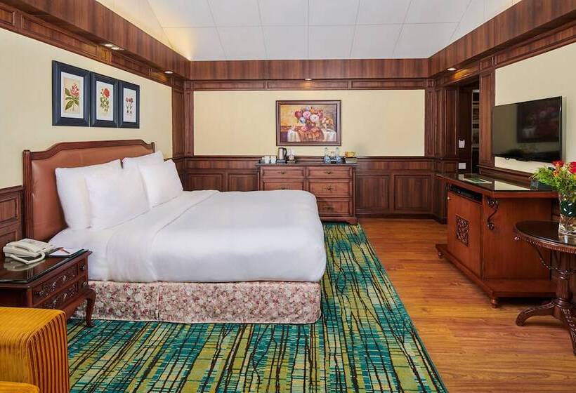 Executive Room, Mayfair Darjeeling