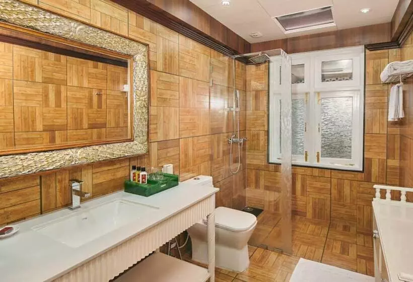Family Room, Mayfair Darjeeling