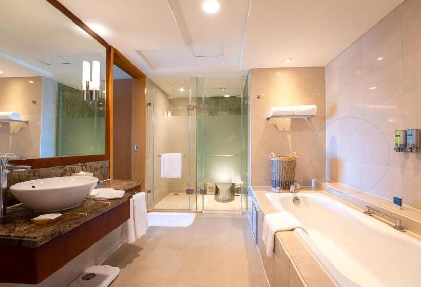 سوییت لوکس, Park Plaza Beijing Wangfujing