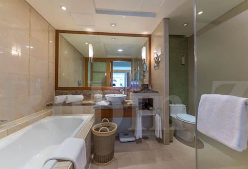 سوییت اجرایی, Park Plaza Beijing Wangfujing