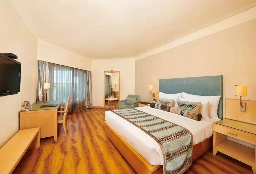デラックスルーム, The Pride Hotel, Nagpur