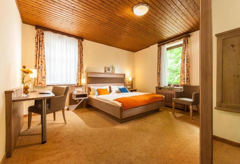 Номер Комфорт Индивидуальный, Löwen Hotel & Restaurant