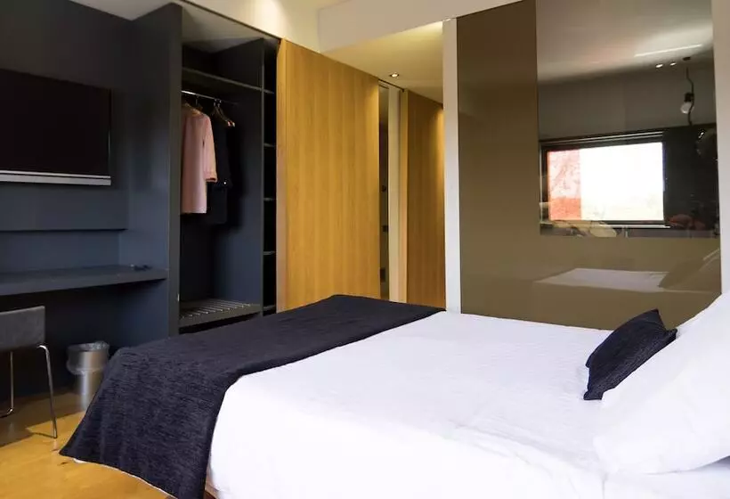 اتاق استاندارد یک نفره, Blu Hotel Almansa