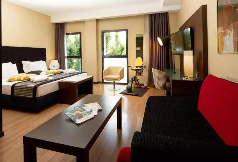 اتاق خانوادگی, Holiday Inn Turin Corso Francia, An Ihg