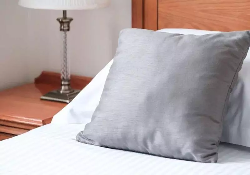 اتاق استاندارد برای معلولان, Holiday Inn Turin Corso Francia, An Ihg