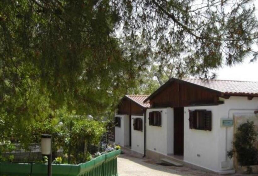 חדר סטנדרט יחיד, Holiday Residence