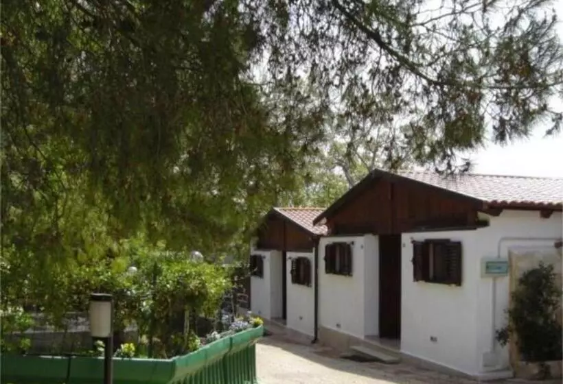 اتاق استاندارد یک نفره, Holiday Residence