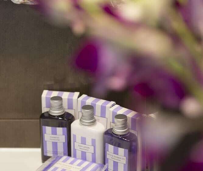 컴포트 룸, Maestrale