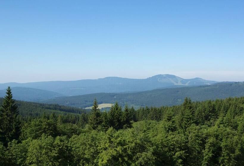 חדר אקזקיוטיב, Orea Resort Horizont šumava