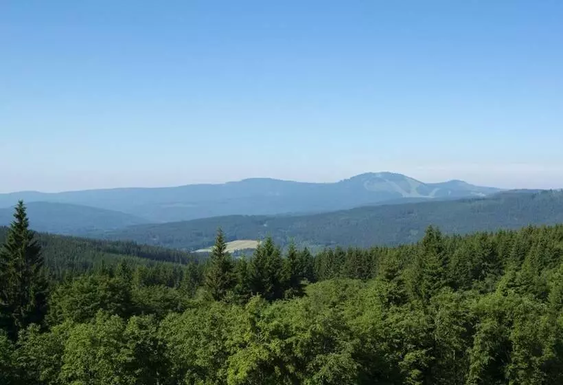 エクゼクティブルーム, Orea Resort Horizont šumava